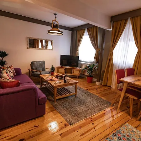 The Istanbuller 公寓 伊斯坦布尔